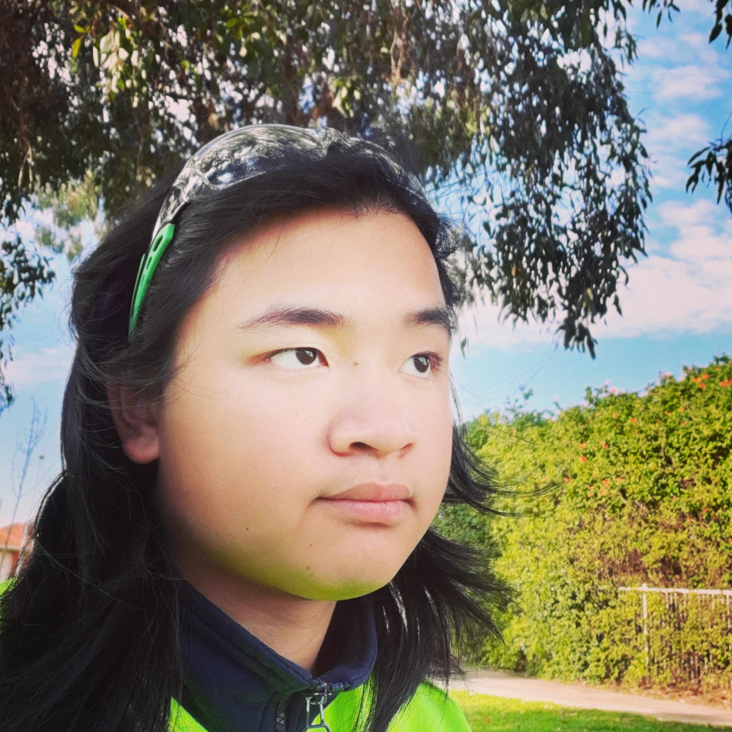 david-nguyen-s-professional-portfolio